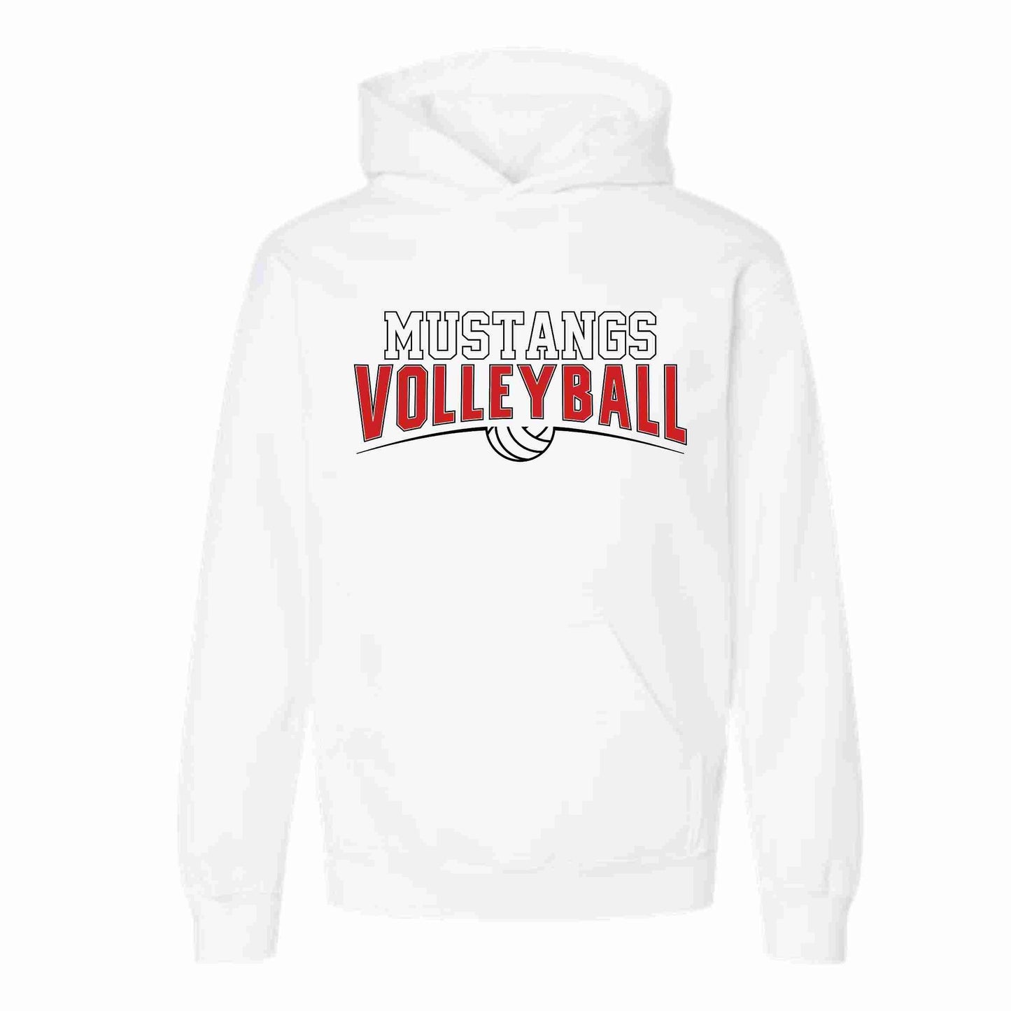 Volleyball Design 1