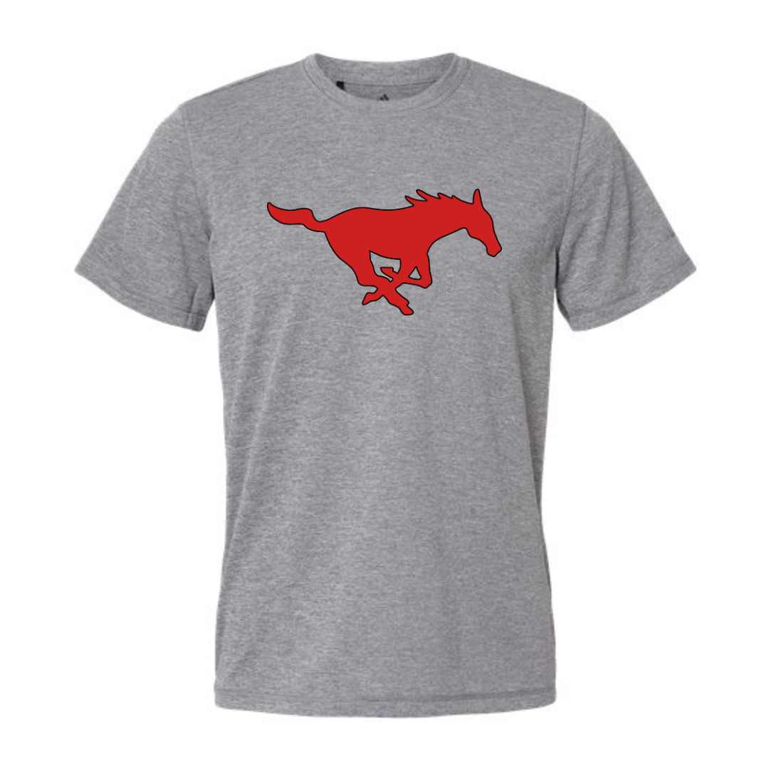 Adult Mustang Horse