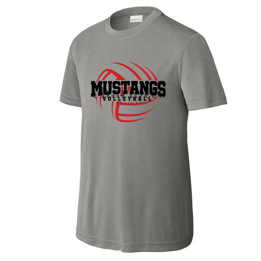 Youth Mustangs Volleyball #1