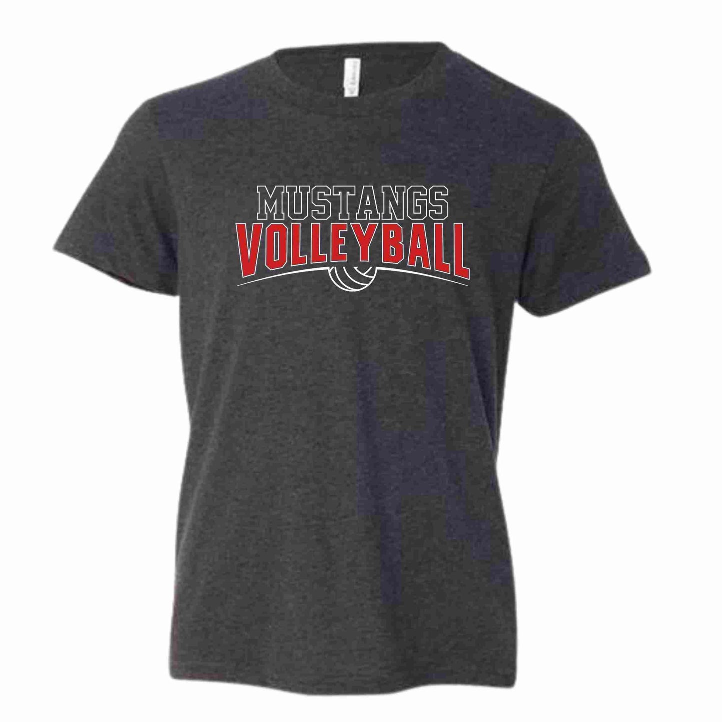 Volleyball Design 1