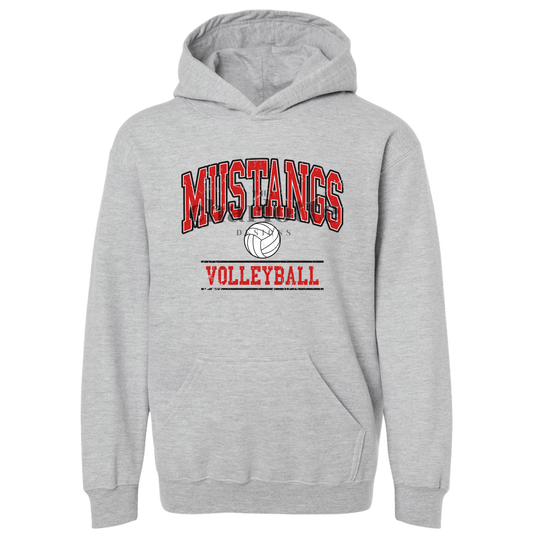 Adult Mustangs Volleyball #2
