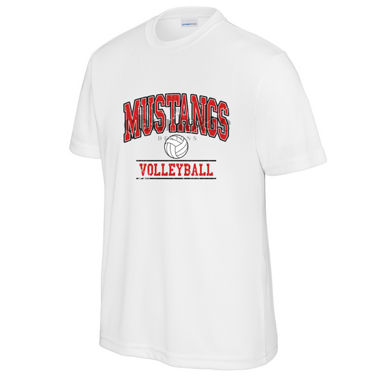 Youth Mustangs Volleyball #2