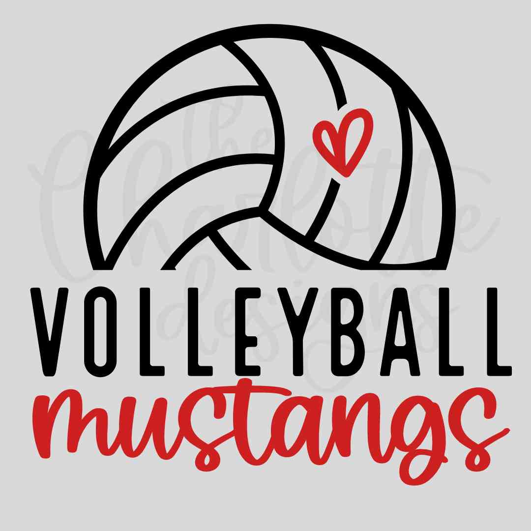 Volleyball Design 3